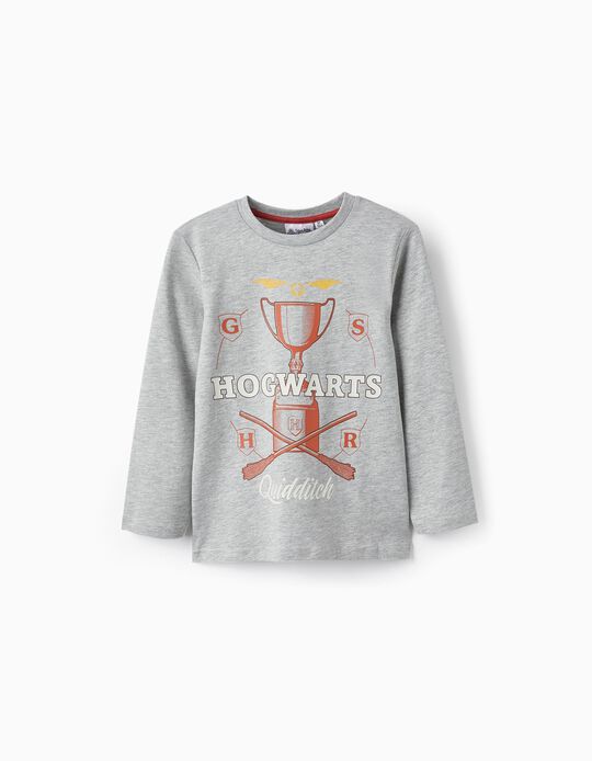 T-Shirt de Manga Comprida em Algodão para Menino 'Hogwarts', Cinza
