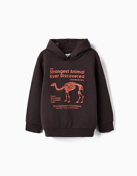 Hooded Sweatshirt for Boys 'Strangest Animals', Dark Grey