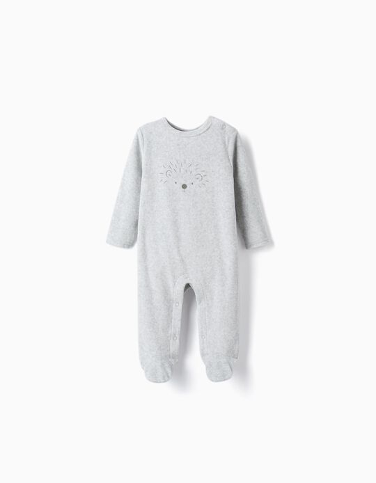 Velvet Babygrow for Baby Boys 'Hedgehog', Grey