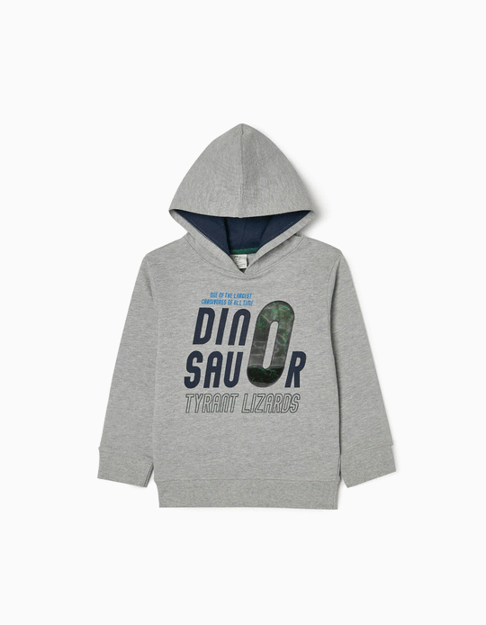 Hooded Sweatshirt for Boys 'Dinosaur', Grey