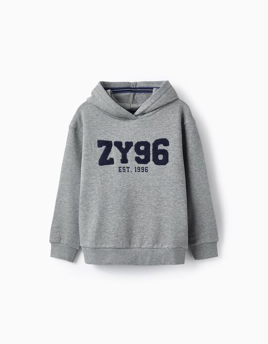 Hooded Sweatshirt for Boy 'ZY 96', Grey