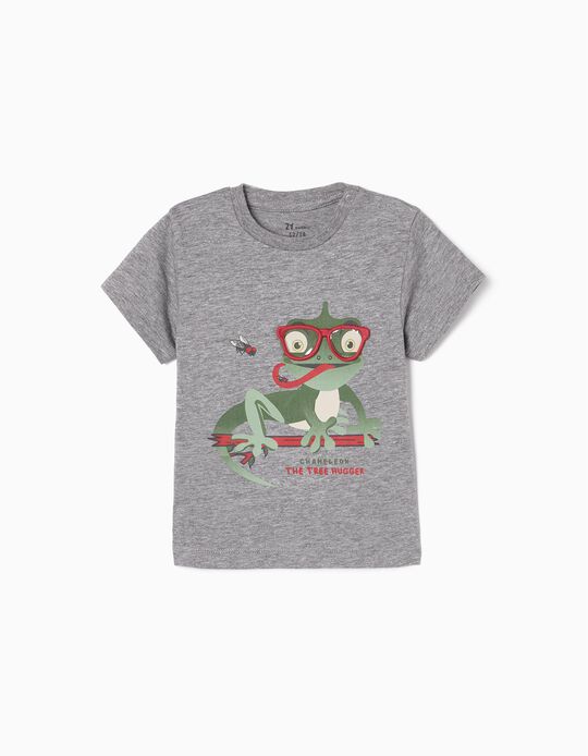 Cotton T-shirt for Baby Boys 'Chameleon', Grey