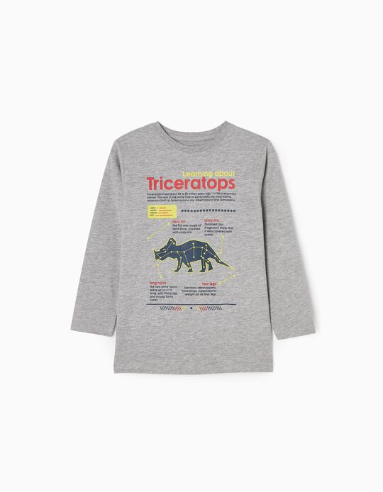 Camiseta de Manga Larga para Niño 'Dinosaurio', Gris