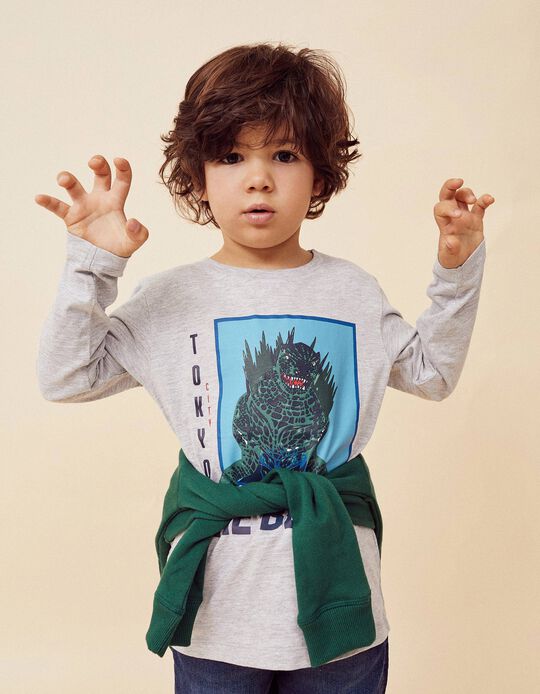 Camiseta de Manga Larga para Niño 'The Beast', Gris