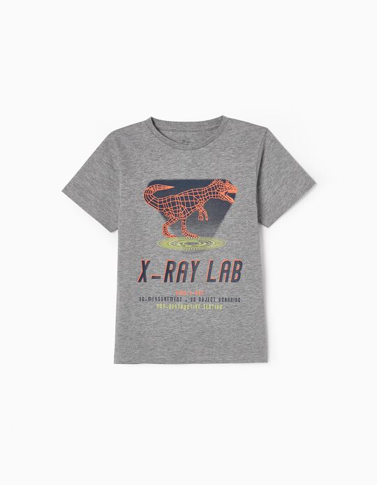 Cotton T-shirt for Boys 'Dinosaur', Grey