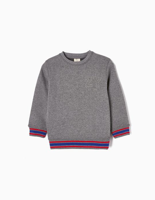 Brushed Cotton Sweatshirt for Boys 'ZY 96', Grey