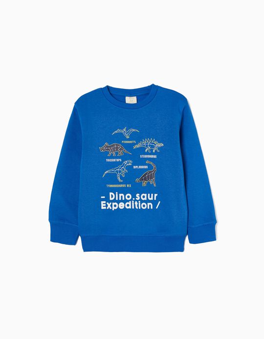 Cotton Sweatshirt for Boys 'Dinosaurs', Blue