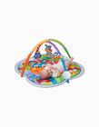 Clip Clop Musical Activity Gym by Playgro