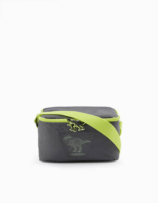 Thermal Lunch Box for Boys 'Dinosaur', Darg Grey/Lime Green