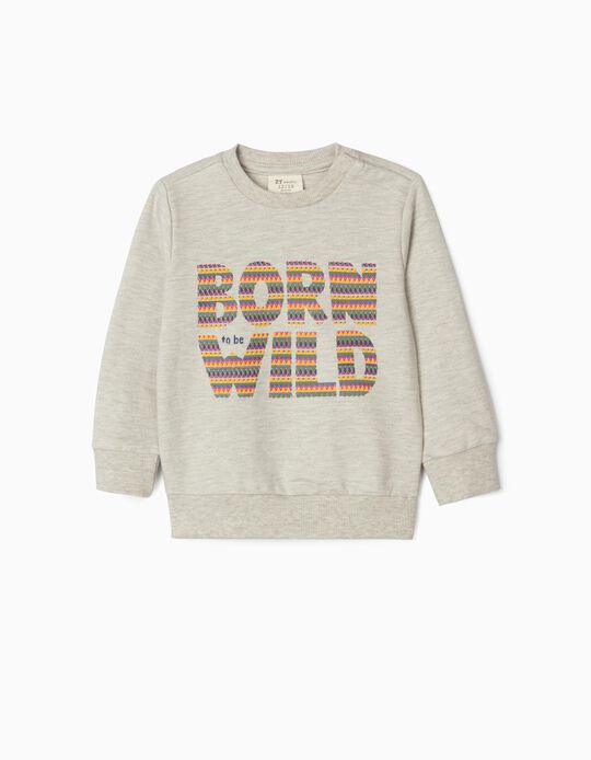 Sweatshirt for Baby Boys 'Wild', Grey