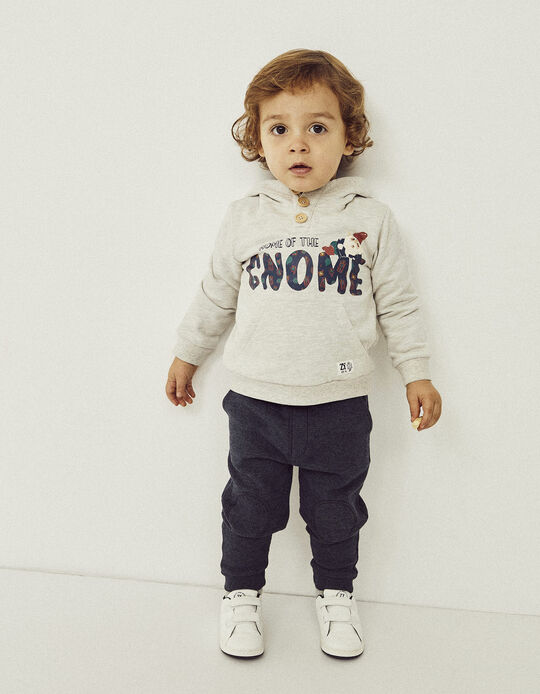 Hooded Cotton Sweatshirt for Baby Boys 'Gnome', Grey
