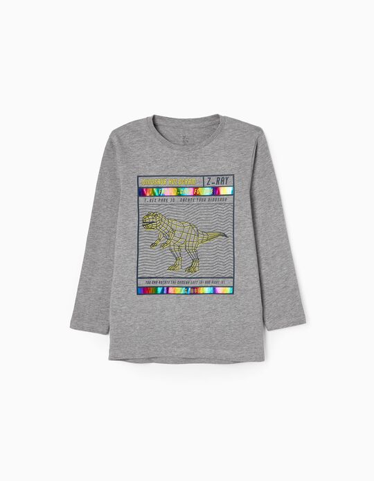 Long Sleeve Cotton T-shirt for Boys 'Dinosaur', Grey
