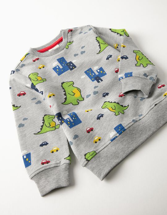 Sweatshirt for Baby Boys 'City Dino', Grey