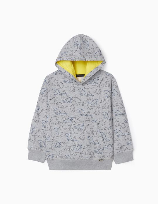 Sweatshirt for Boys 'Dinosaur', Grey