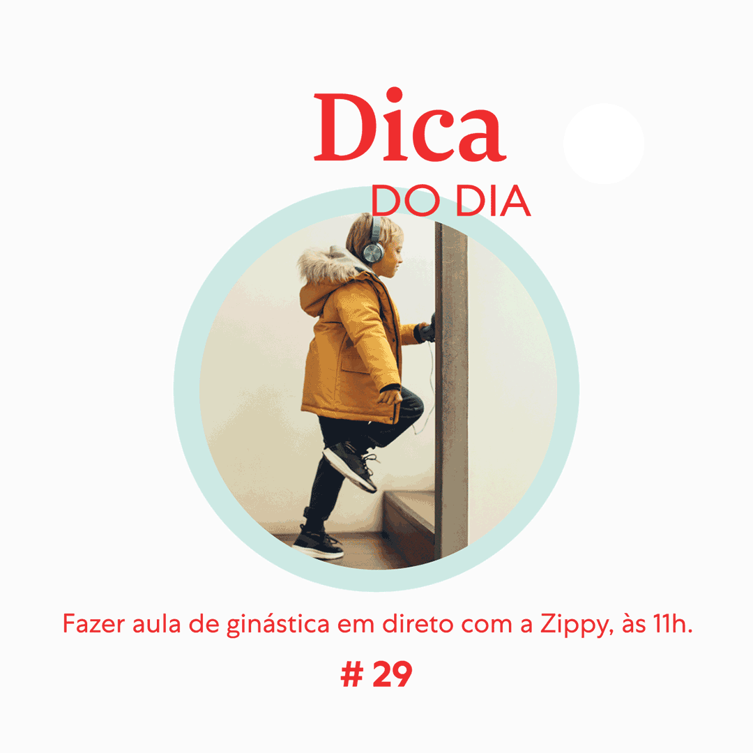 Dica 29 | Zippy We Stay Home Together