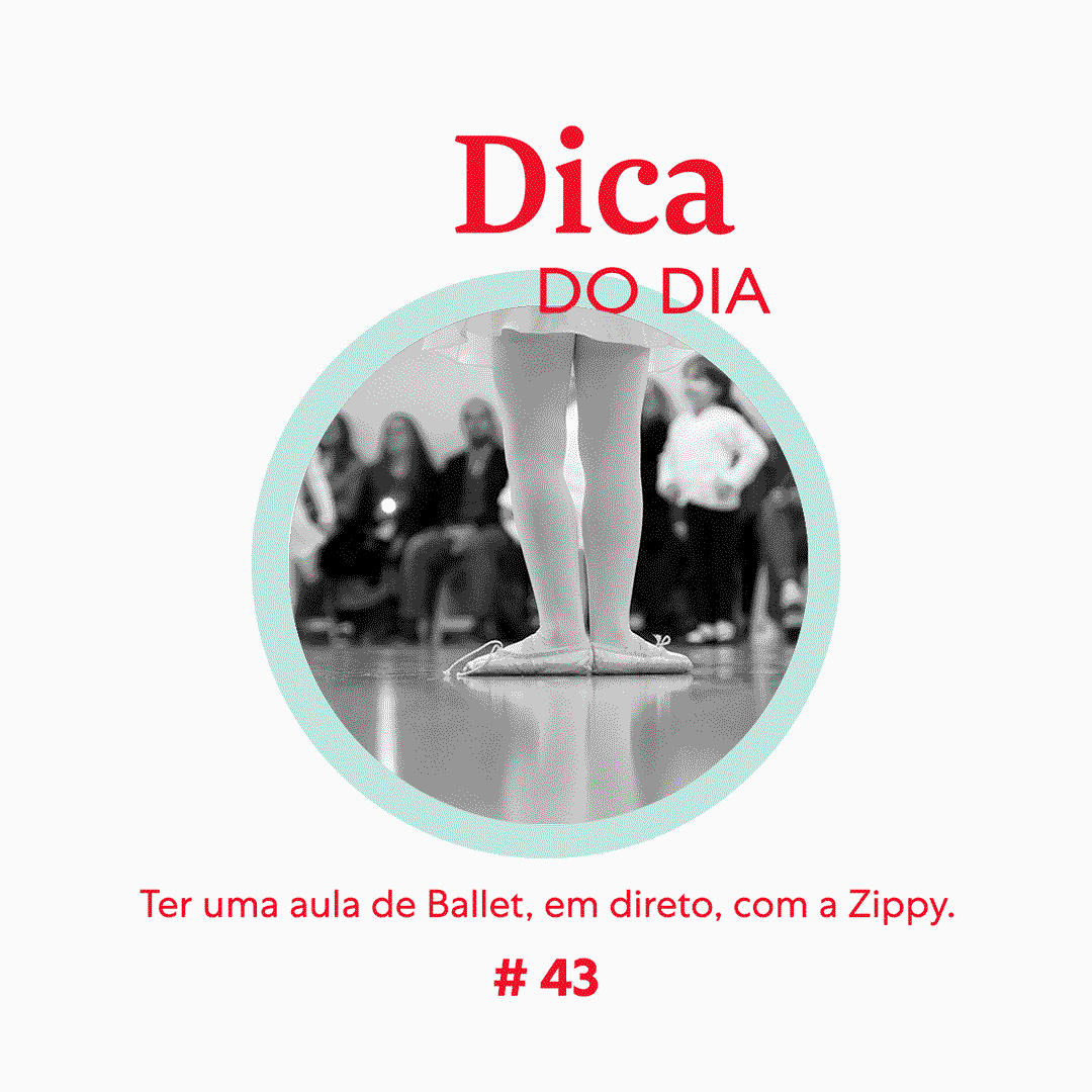 Dica 43 | Zippy We Stay Home Together