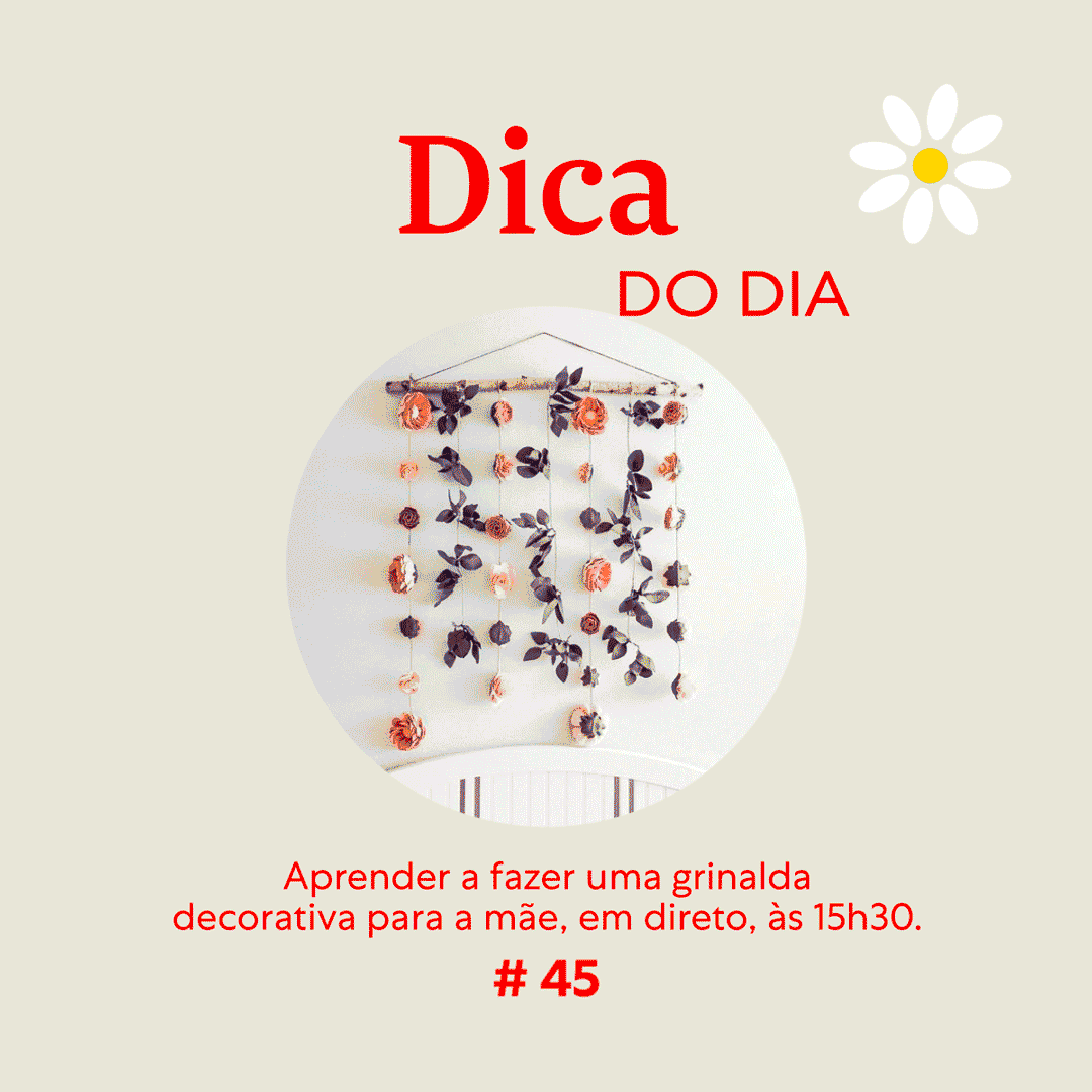 Dica 45 | Zippy We Stay Home Together