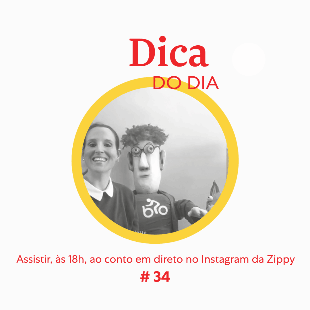 Dica 34 | Zippy We Stay Home Together