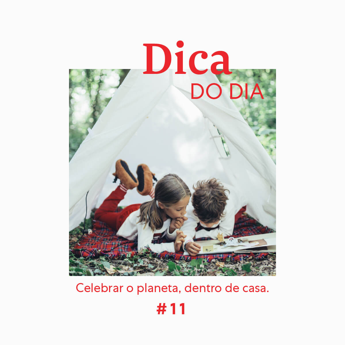 Dica 11 | Zippy We Stay Home Together