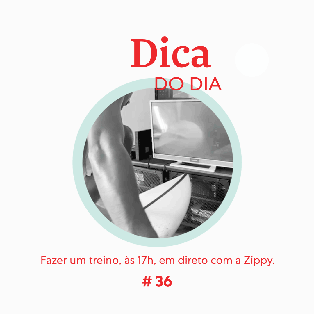 Dica 36 | Zippy We Stay Home Together