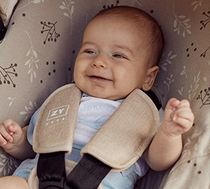 Dicas Baby Zippy: Cadeiras Auto