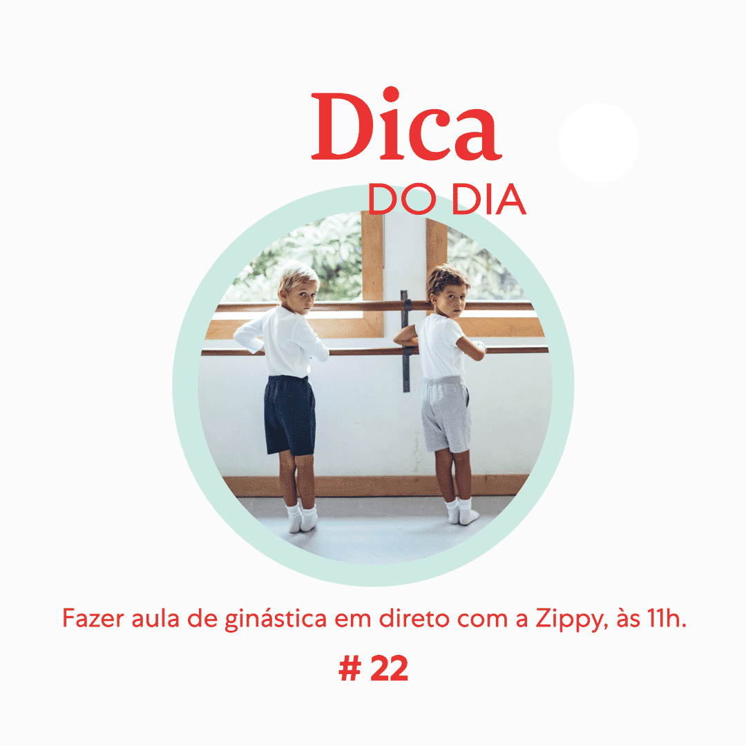 Dica 22 | Zippy We Stay Home Together