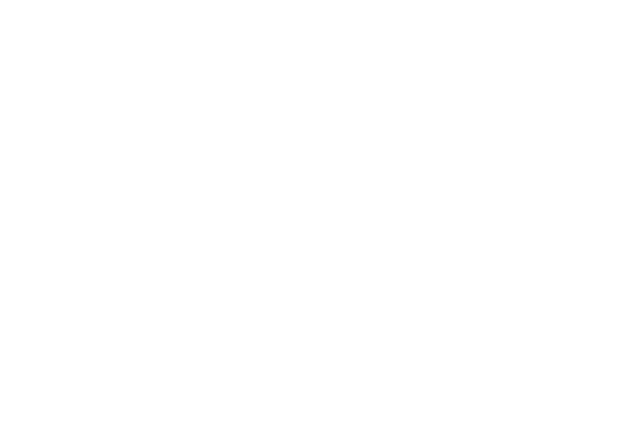 Collection 100 Disney | Zippy