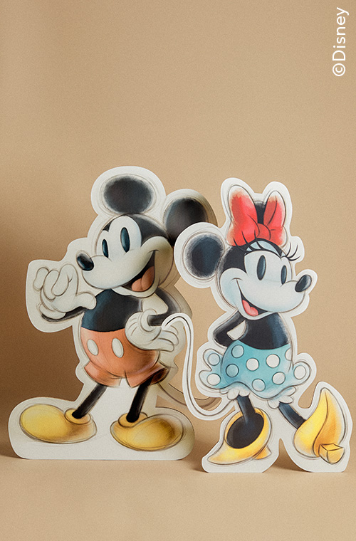 Disney 100 Collection